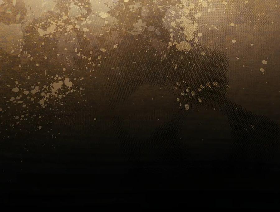 251.jpg