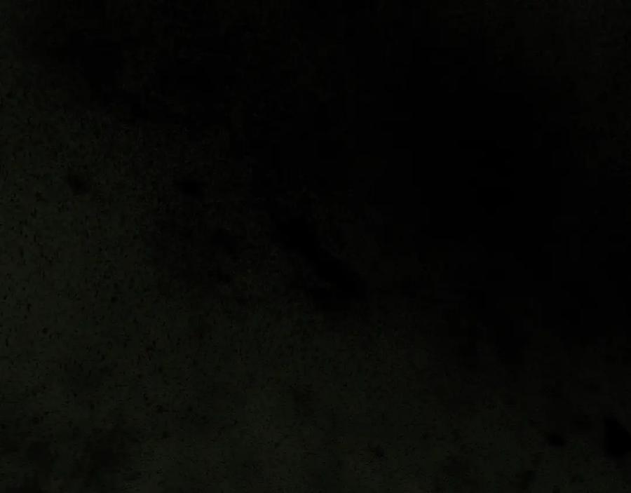 320.jpg