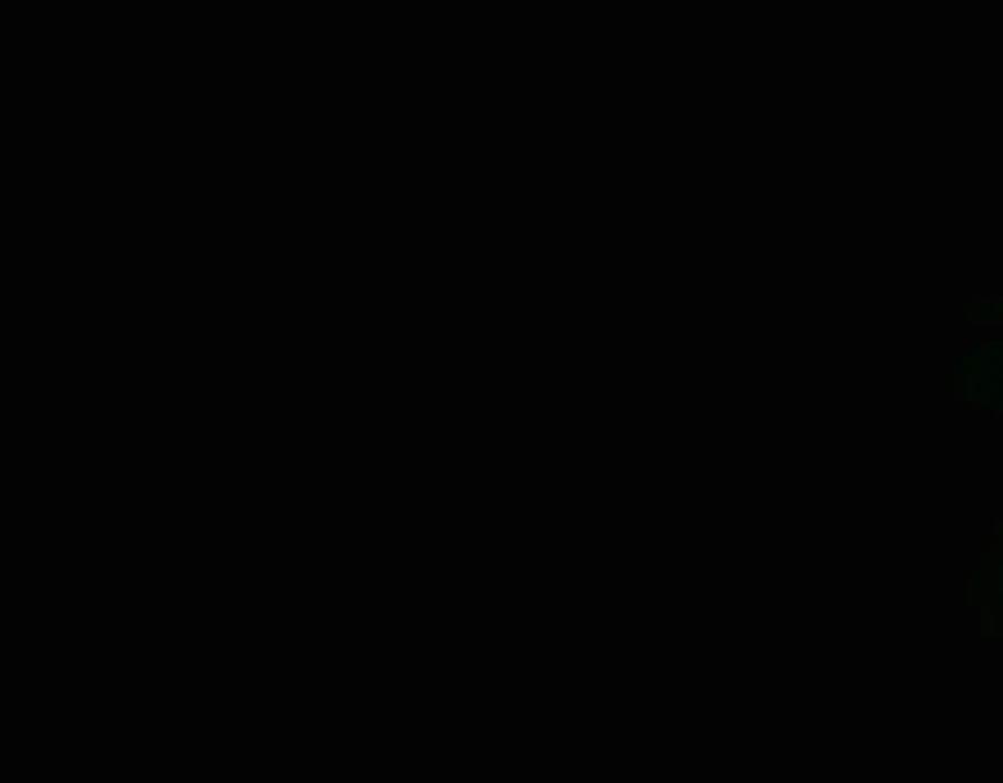 131.jpg