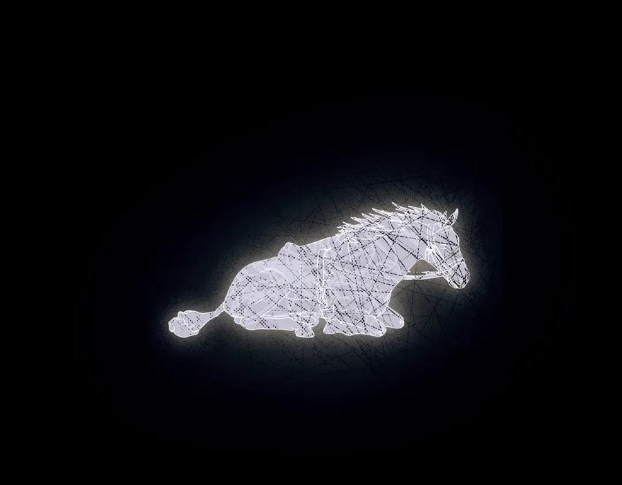 84.jpg