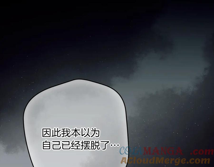 217.jpg
