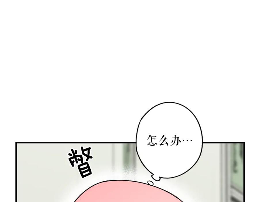 96.jpg