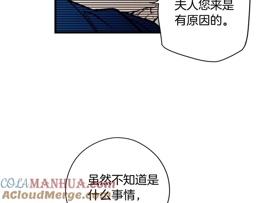 137.jpg