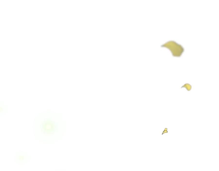 74.jpg
