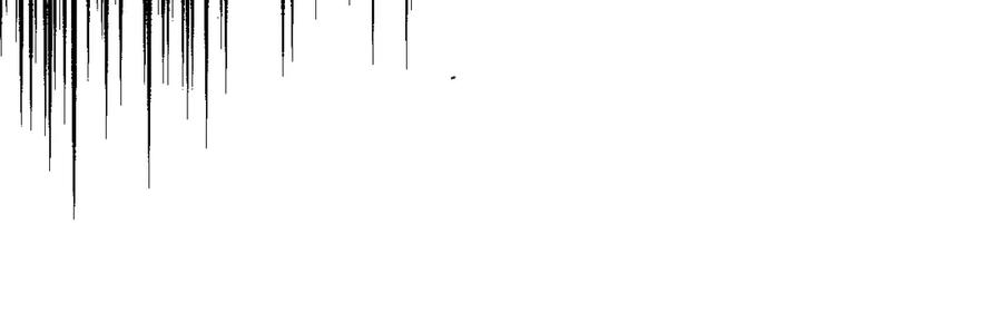 171.jpg