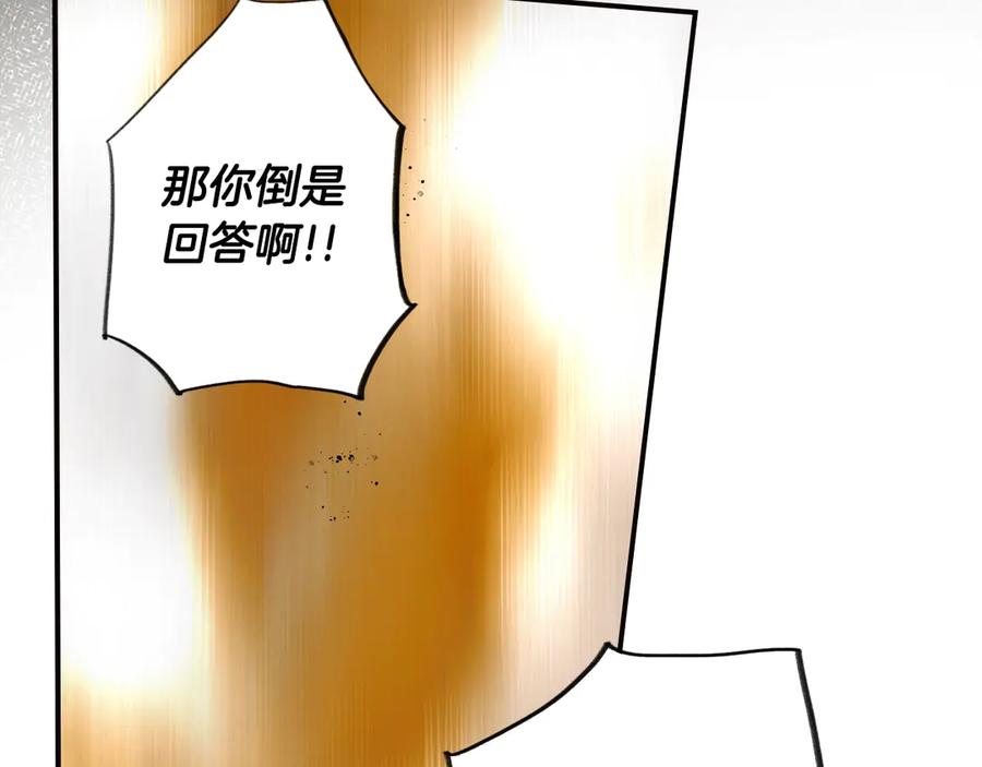 176.jpg