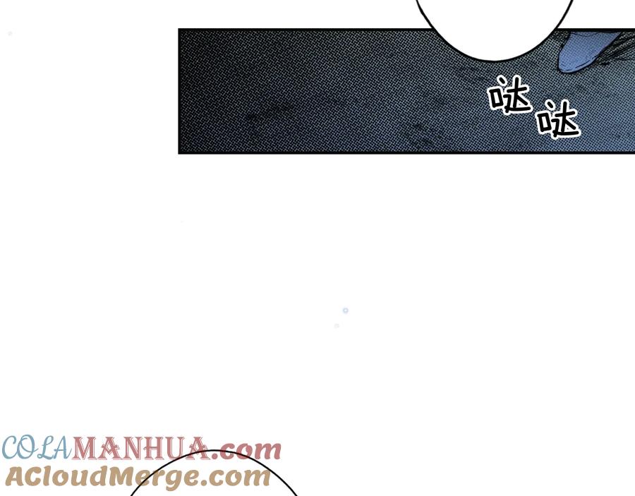 137.jpg