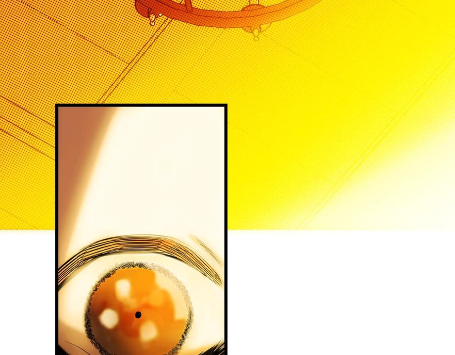 219.jpg