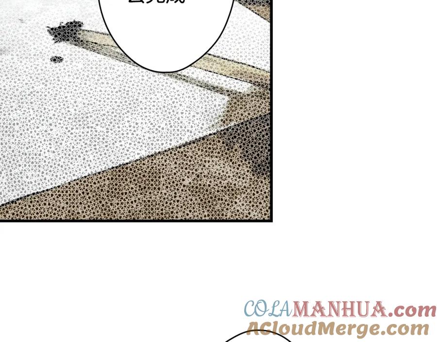 113.jpg