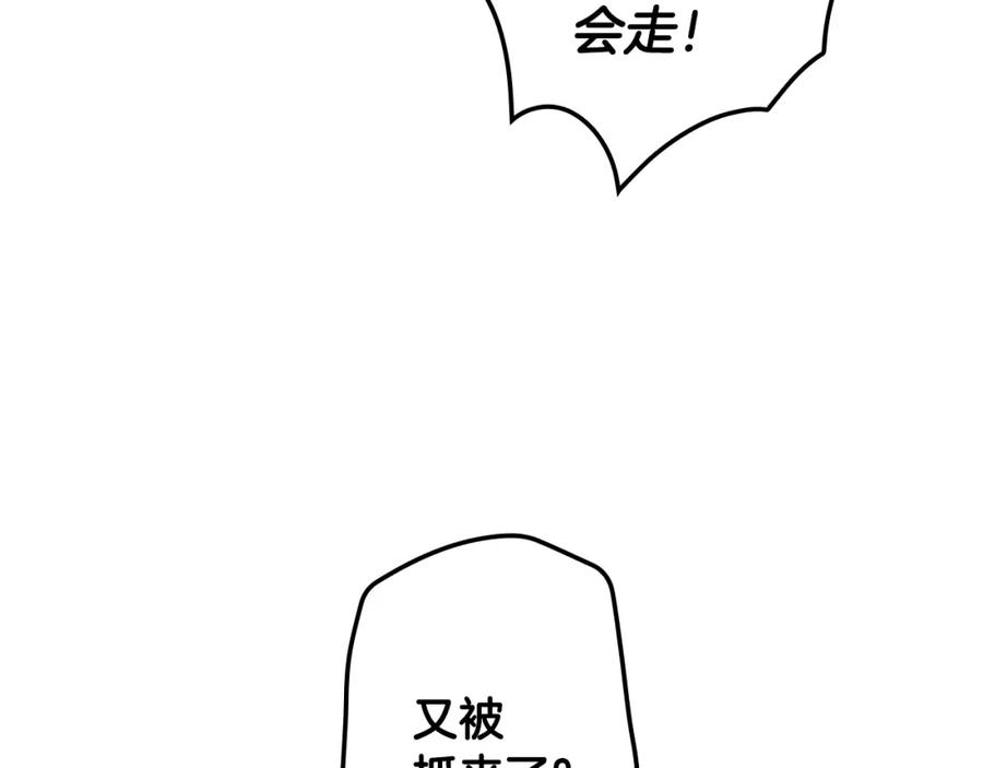 168.jpg