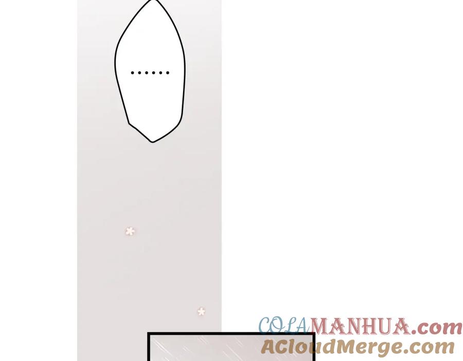 113.jpg