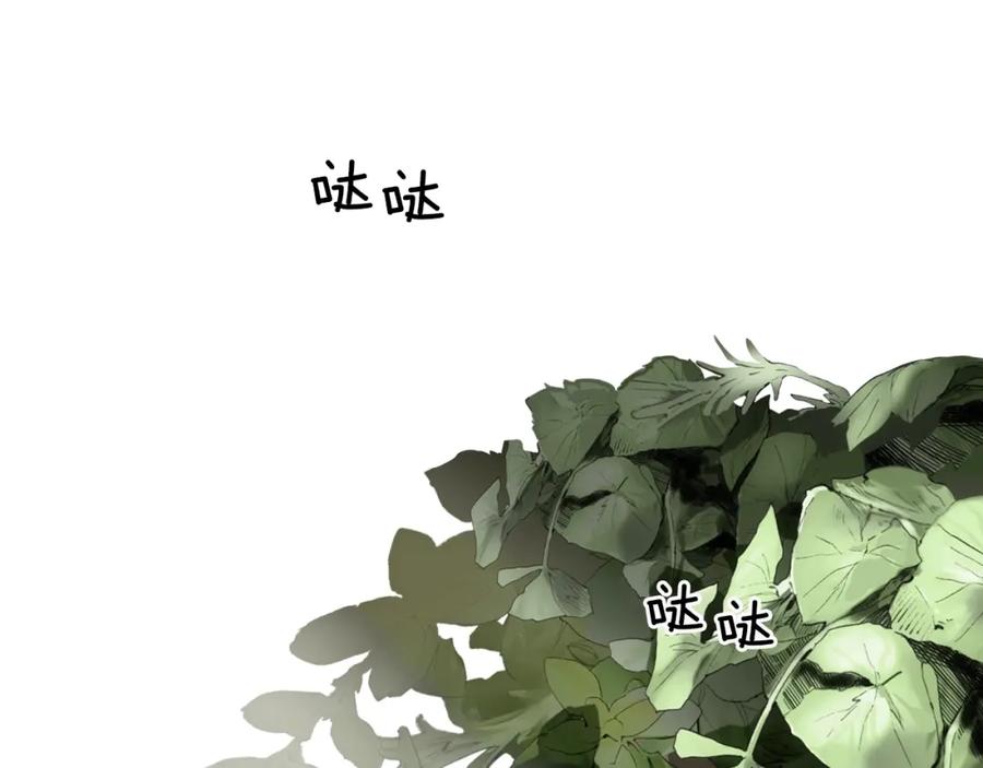 78.jpg