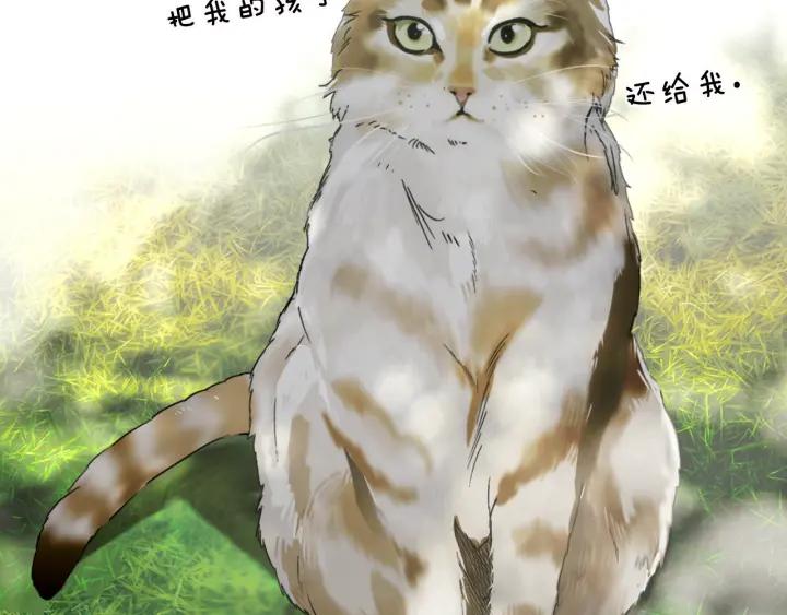 87.jpg