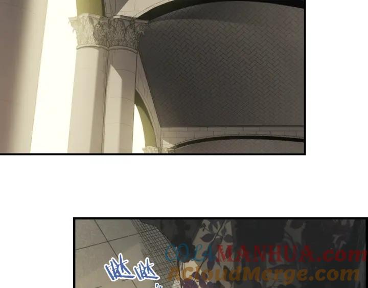 113.jpg