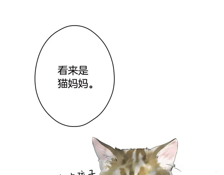 86.jpg