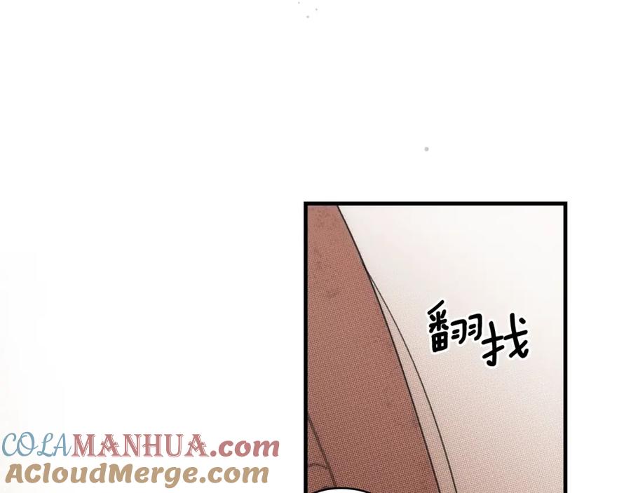 161.jpg