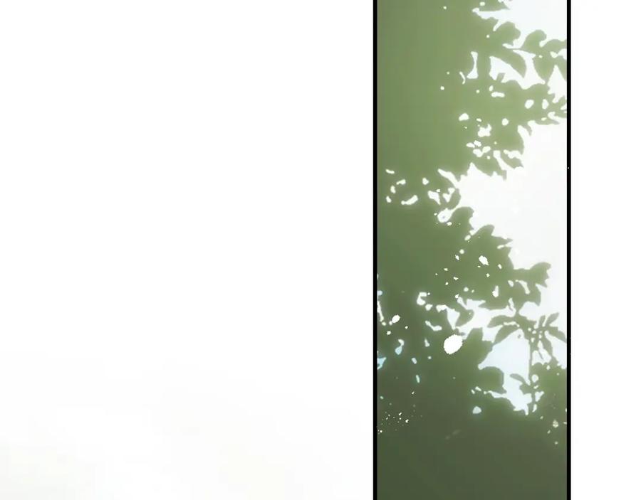 66.jpg