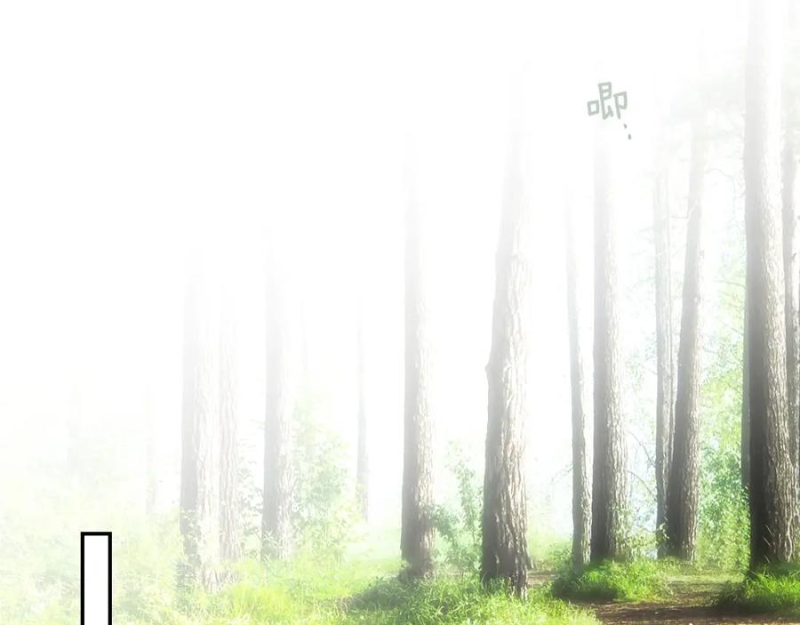166.jpg