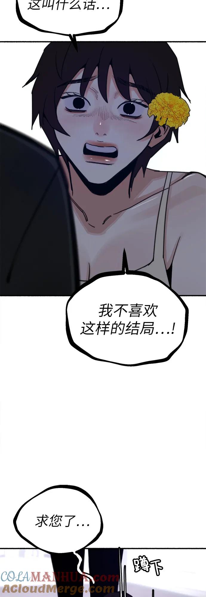 43.jpg