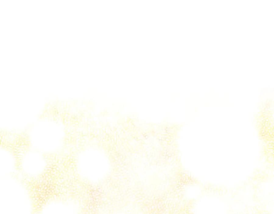 170.jpg