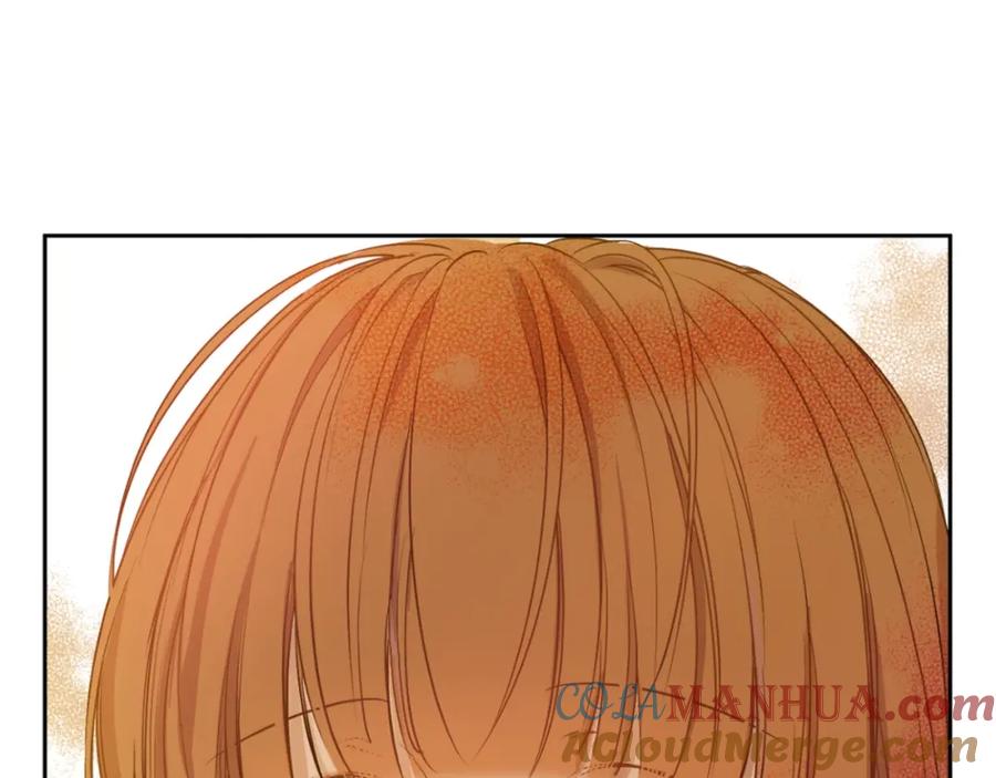 141.jpg