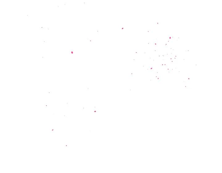 79.jpg
