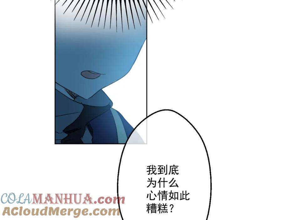113.jpg