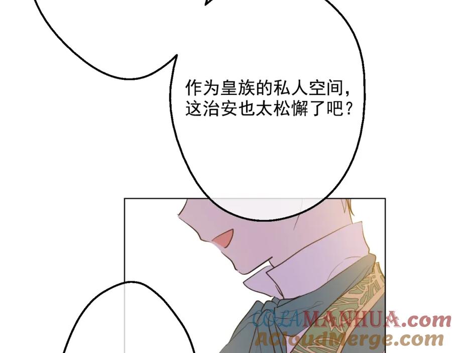 133.jpg