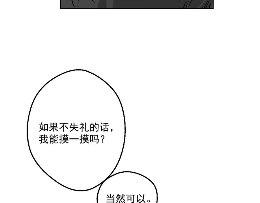 62.jpg