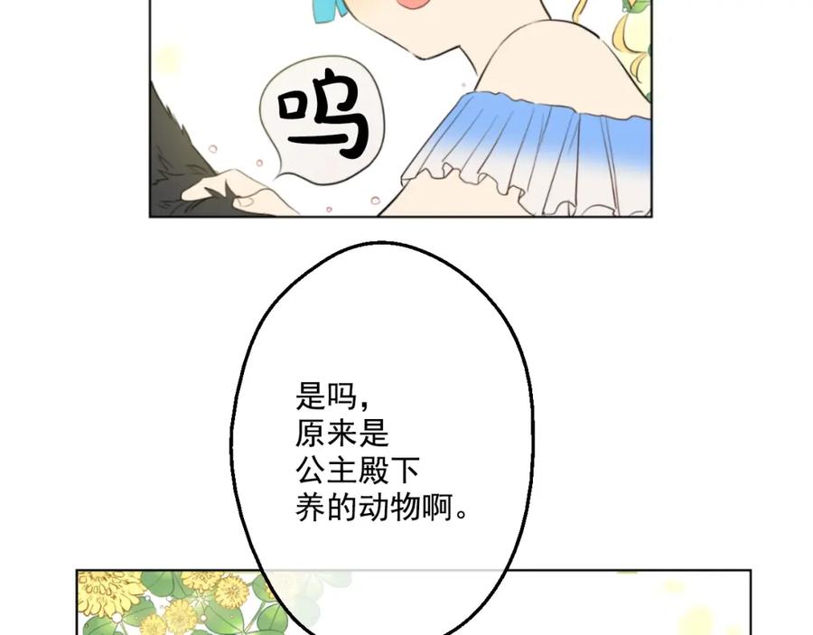 58.jpg