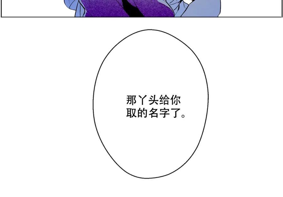 54.jpg