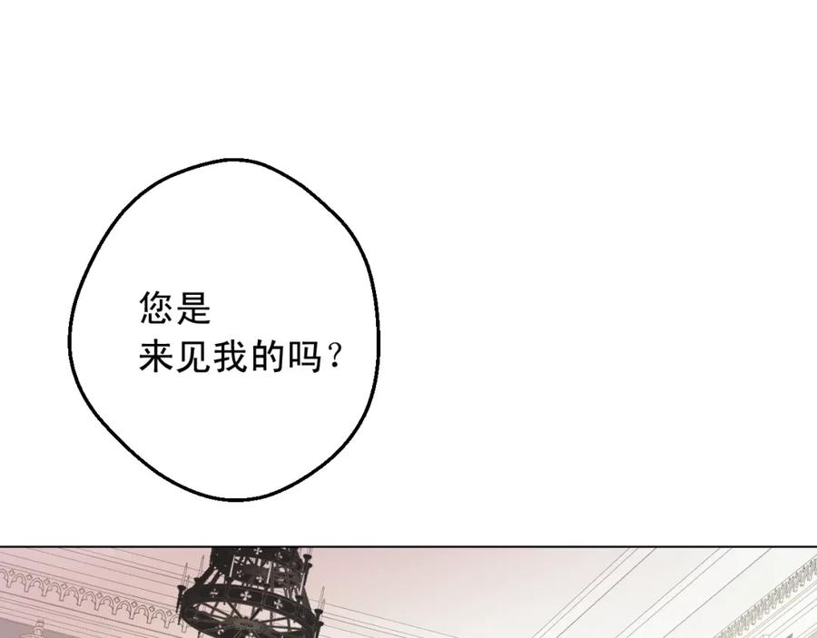 91.jpg