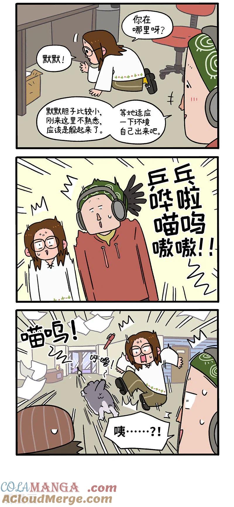 第66话1公司的猫咪聚会2-阿满和麦茶-新漫画 日胖大海寺（第2张）