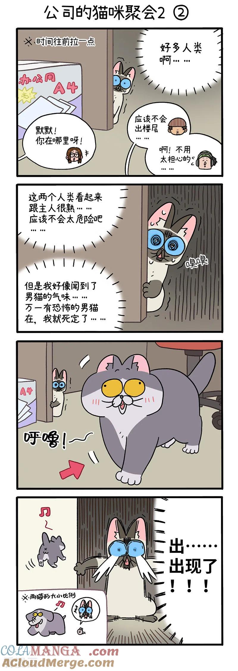 第66话1公司的猫咪聚会2-阿满和麦茶-新漫画 日胖大海寺（第3张）