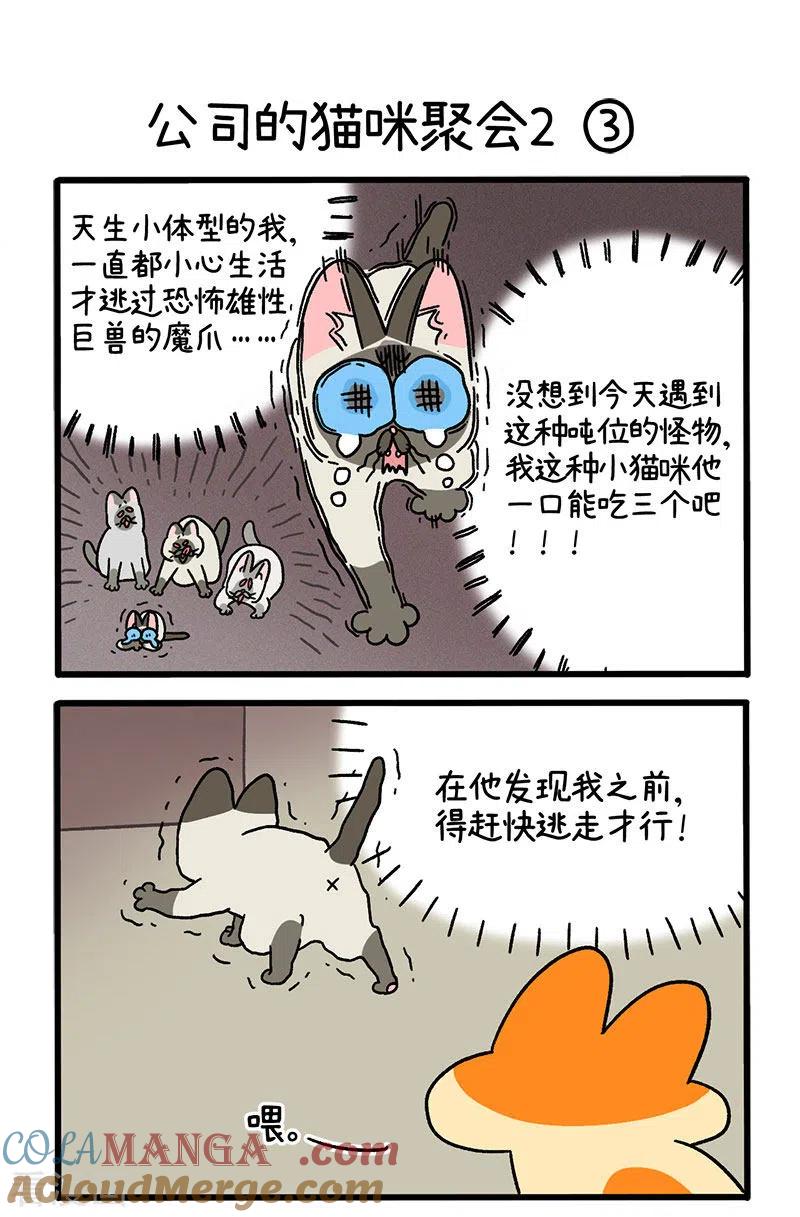 第66话1公司的猫咪聚会2-阿满和麦茶-新漫画 日胖大海寺（第4张）