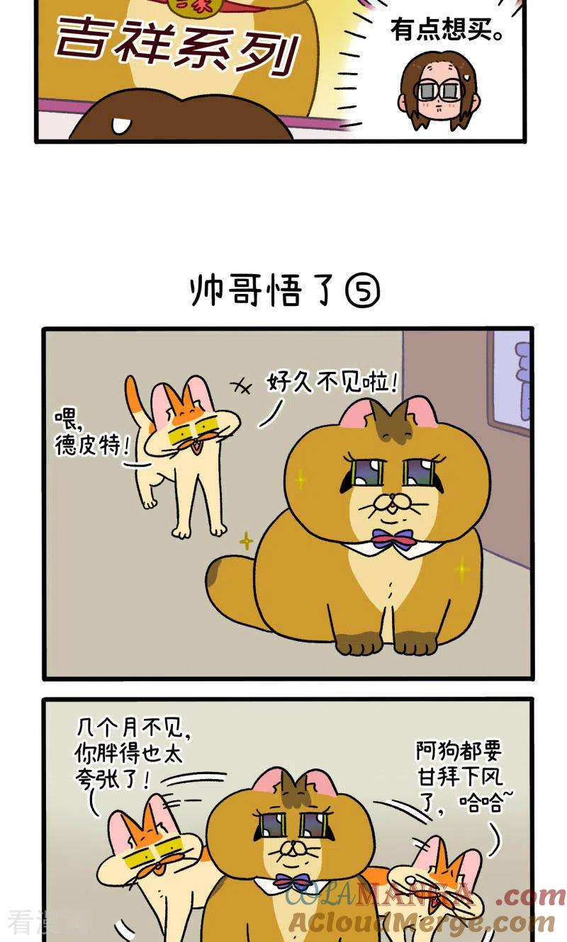 第81话2帅哥悟了2-阿满和麦茶-新漫画 日胖大海寺（第3张）