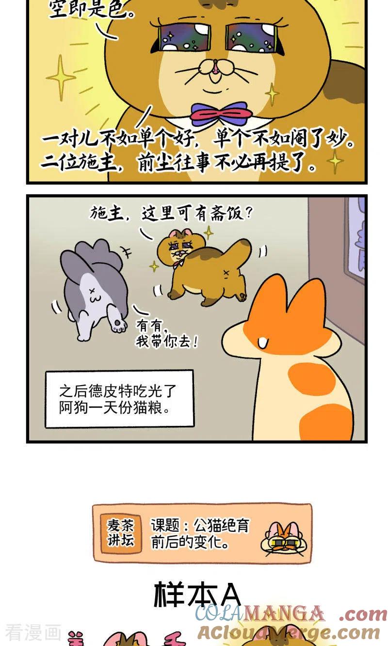 第81话2帅哥悟了2-阿满和麦茶-新漫画 日胖大海寺（第6张）