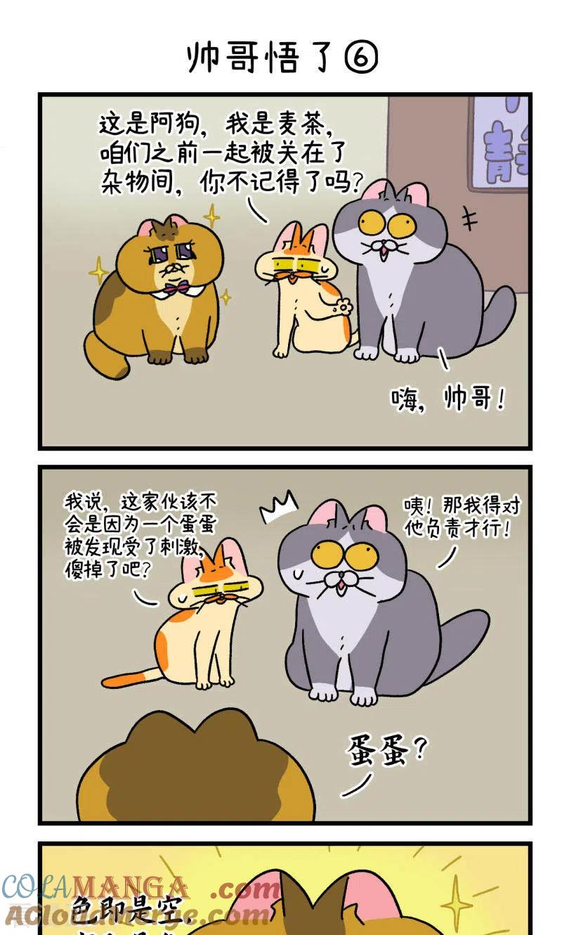 第81话2帅哥悟了2-阿满和麦茶-新漫画 日胖大海寺（第5张）