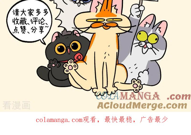 第81话2帅哥悟了2-阿满和麦茶-新漫画 日胖大海寺（第9张）
