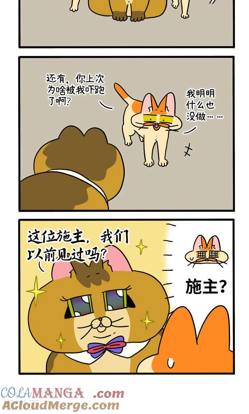 第81话2帅哥悟了2-阿满和麦茶-新漫画 日胖大海寺（第4张）