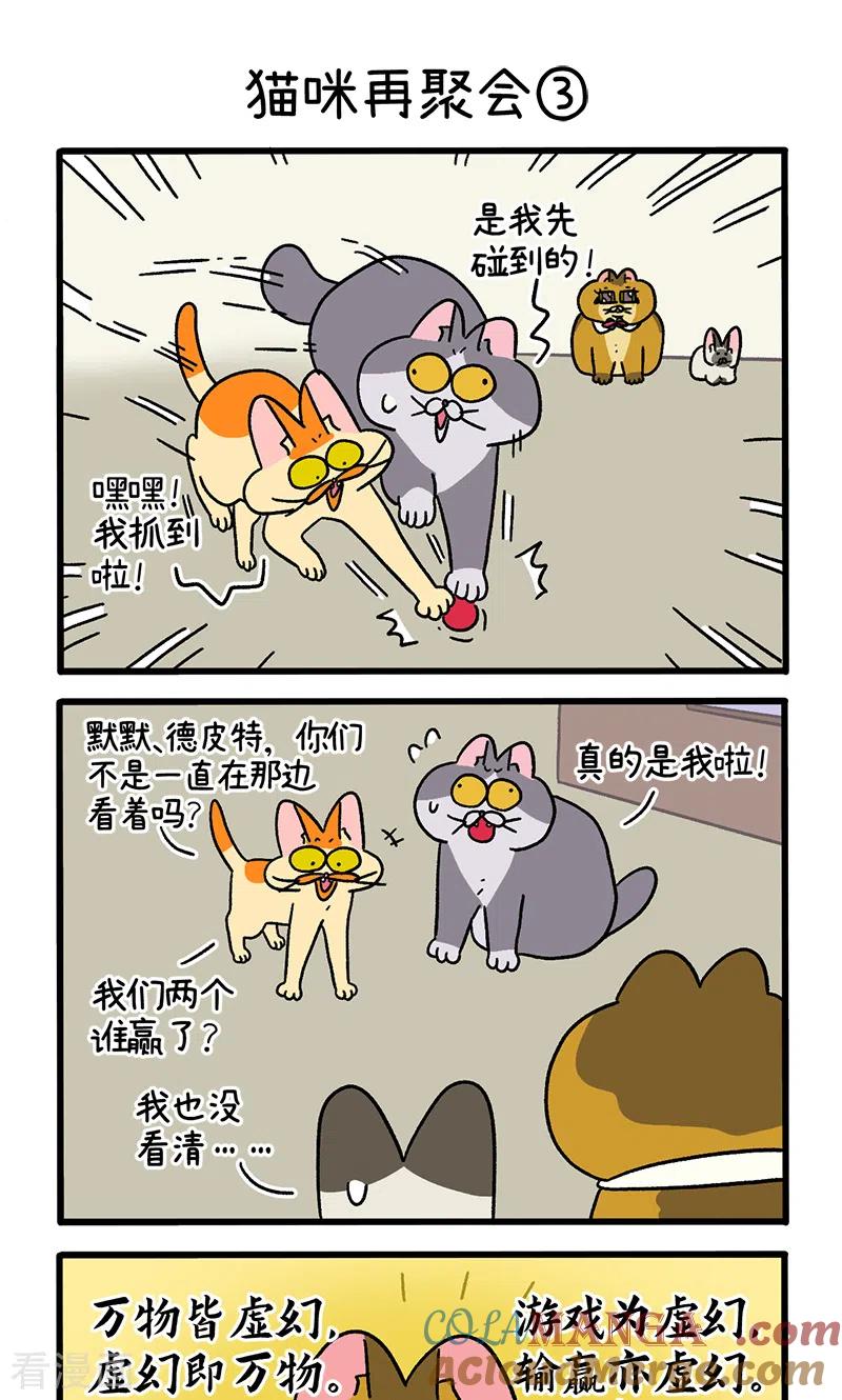 第82话1猫咪再聚会-阿满和麦茶-新漫画 日胖大海寺（第5张）