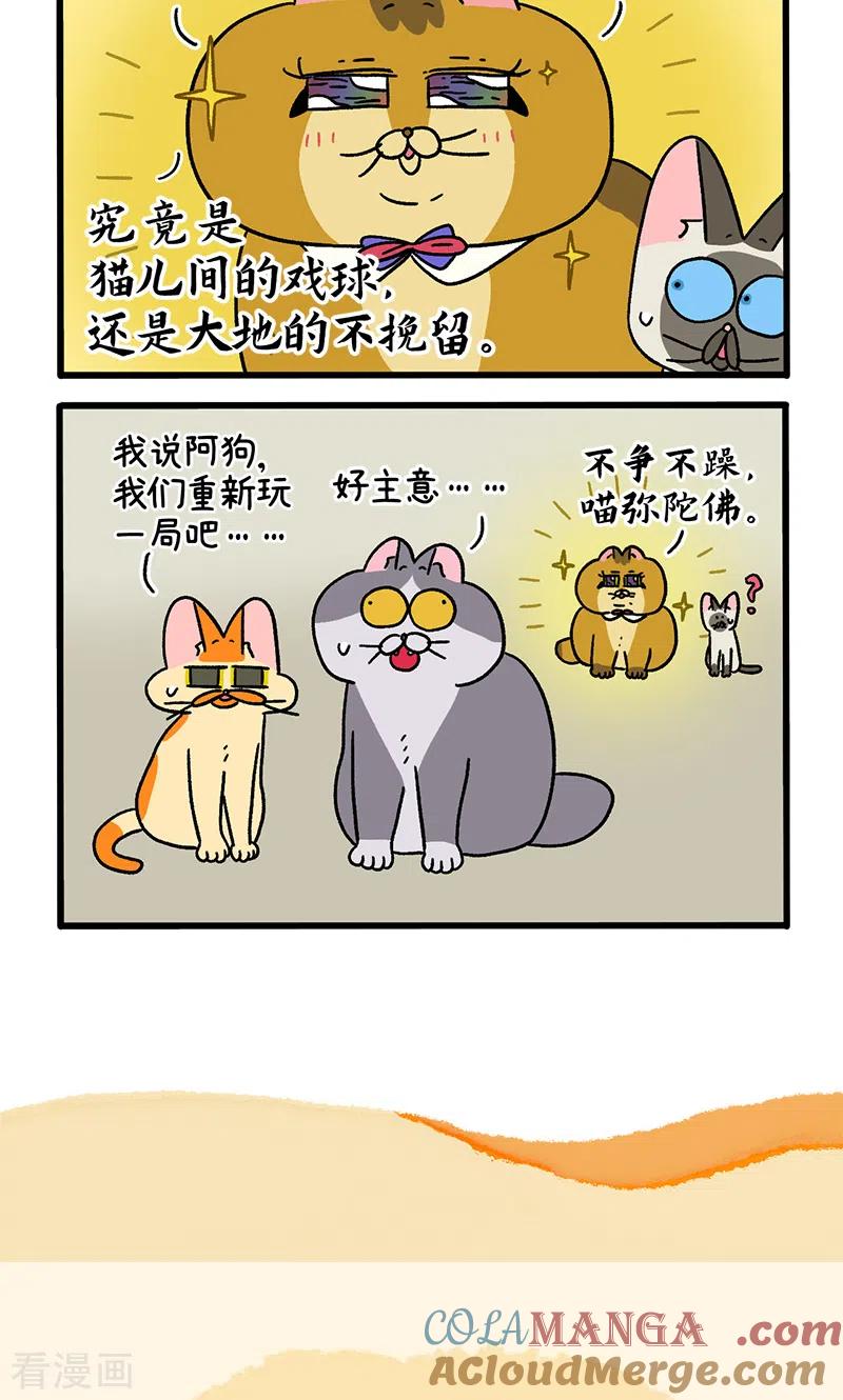 第82话1猫咪再聚会-阿满和麦茶-新漫画 日胖大海寺（第6张）