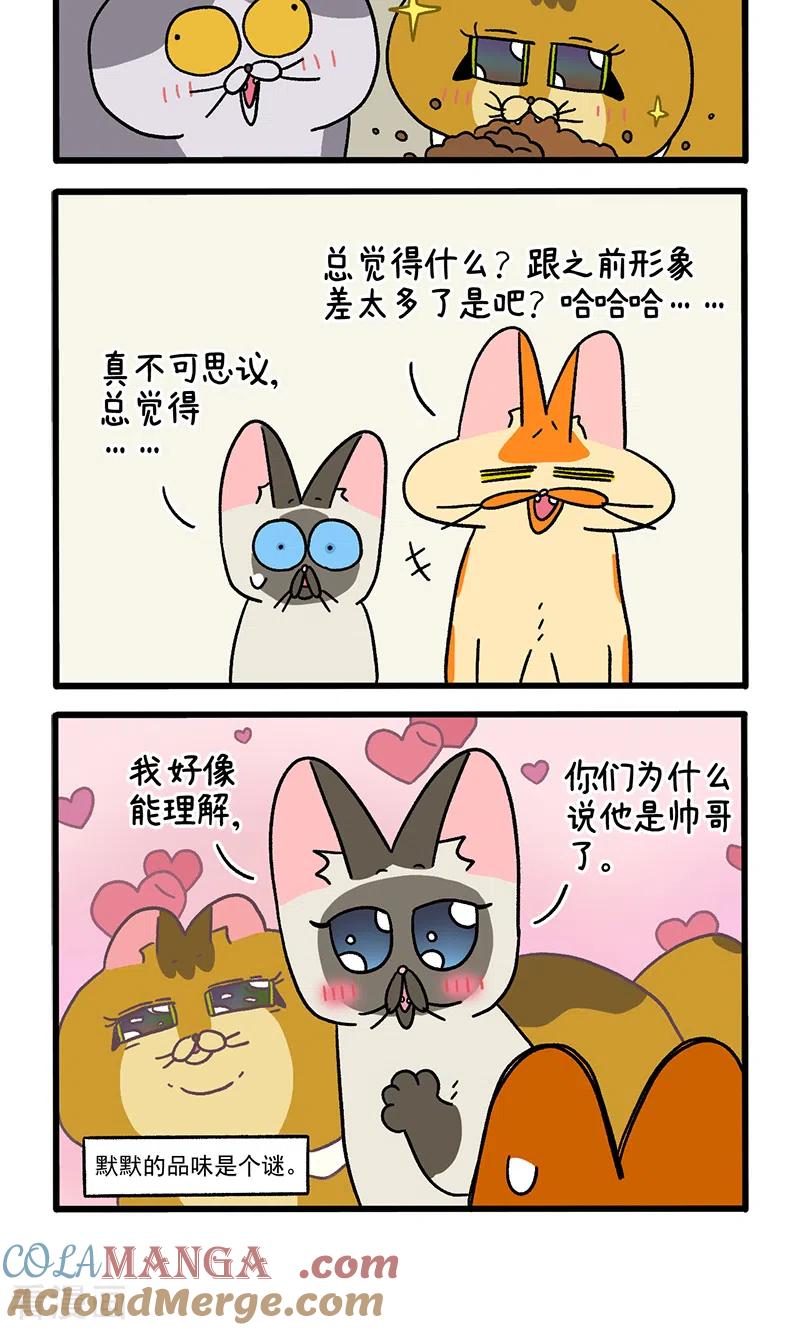 第82话1猫咪再聚会-阿满和麦茶-新漫画 日胖大海寺（第4张）