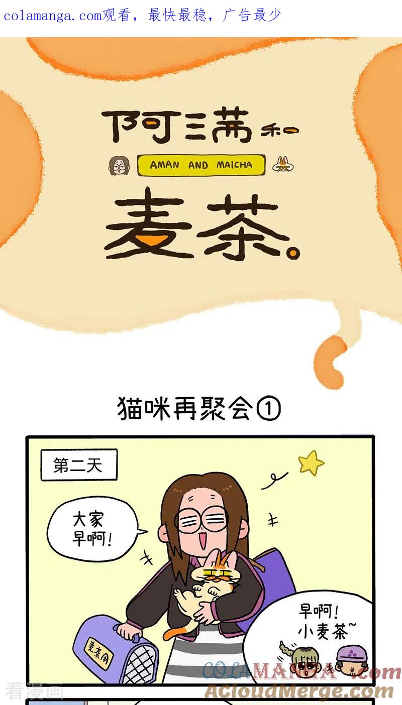 第82话1猫咪再聚会-阿满和麦茶-新漫画 日胖大海寺（第1张）