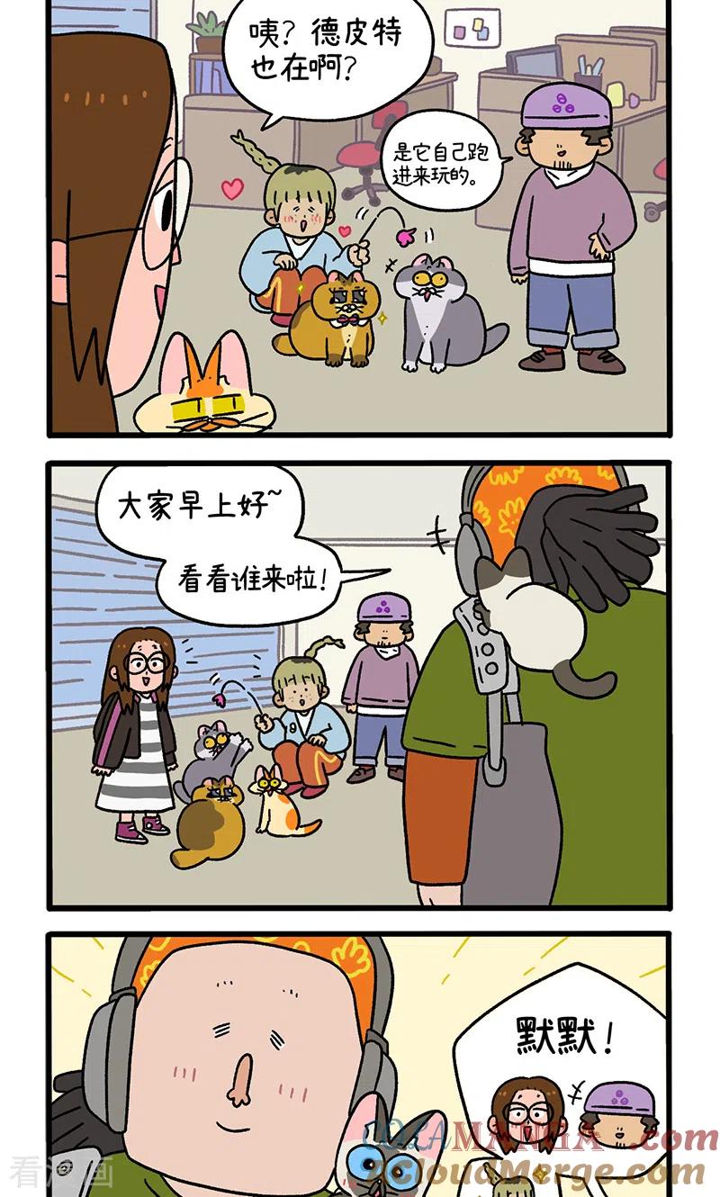 第82话1猫咪再聚会-阿满和麦茶-新漫画 日胖大海寺（第2张）