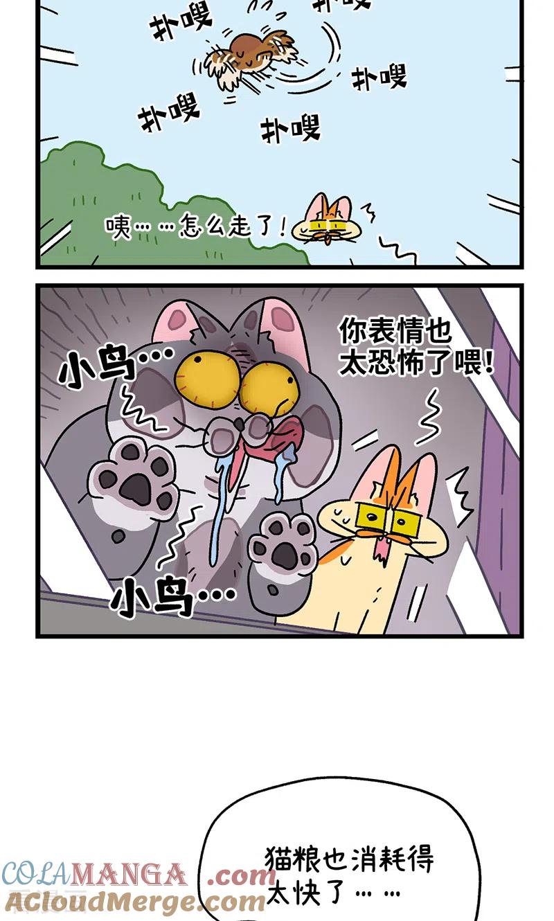第90话麦茶待客-阿满和麦茶-新漫画 日胖大海寺（第6张）