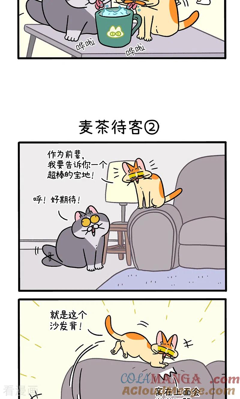 第90话麦茶待客-阿满和麦茶-新漫画 日胖大海寺（第3张）