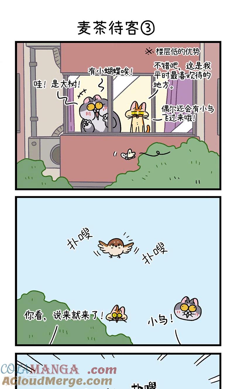 第90话麦茶待客-阿满和麦茶-新漫画 日胖大海寺（第5张）