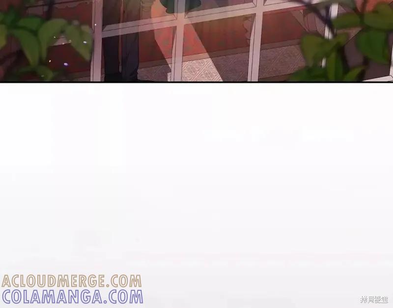 113.jpg