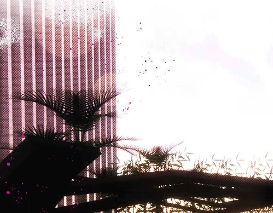 74.jpg